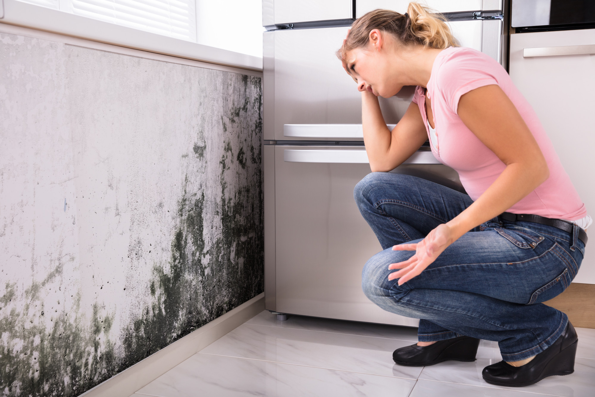 indoor air quality services
