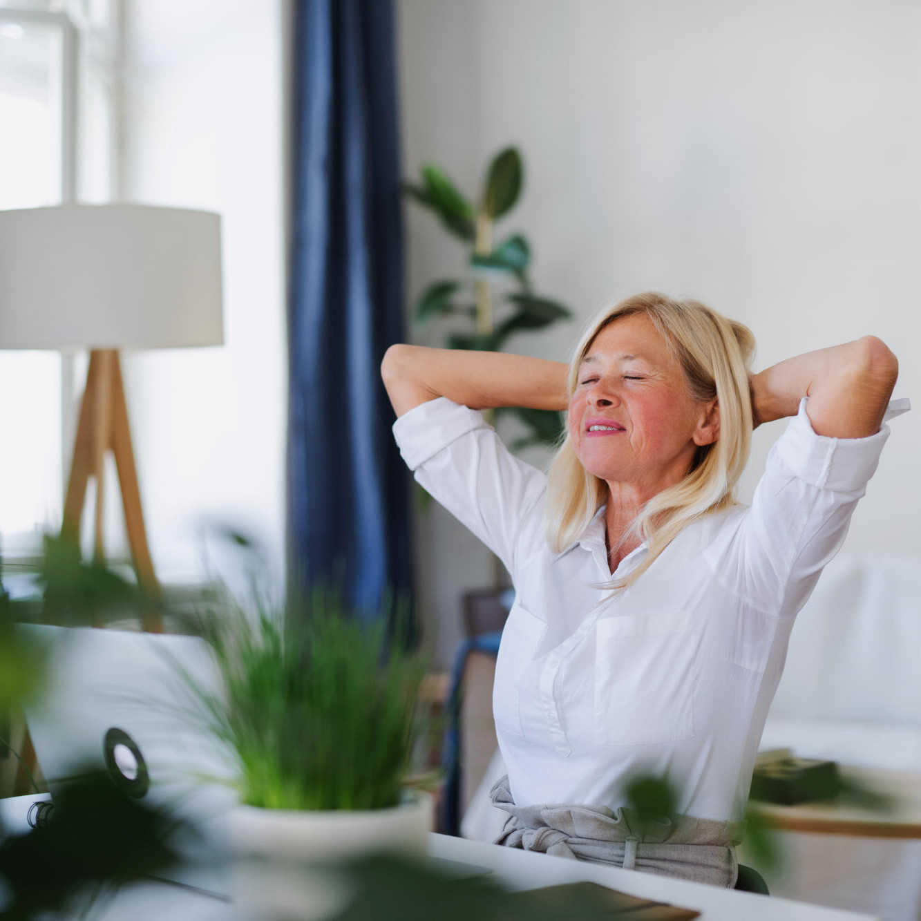 whole home air purifier